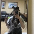 쿨헤어(COOL HAIR)