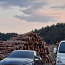 원시한증막 이미지