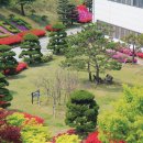 (주)신영스타킹