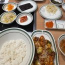 셋로그 말고 블로그