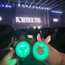 식스모텔 | 2025.03 데이식스 &lt;FOREVER YOUNG&gt; 전국투어 몰아보기 / 홍길동이 되..