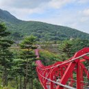 한방자연휴양림(산청) | 동의보감촌 산청한방자연휴양림 휴양관 당귀 후기