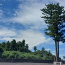 나만의 한평 정원 가꾸기 이미지