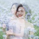 슬도 명파 / 강시연 이미지