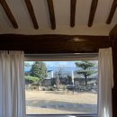 우리들의 경주가 생각나요 이미지