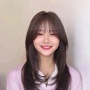 리안헤어정왕세종프라자 티스토리
