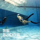 체험프리다이빙ㅣ원데이클래스 듣고 수중사진까지 찍어요💕 ㅣ프리다이빙스퀘어ㅣ프다광장