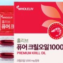 홀리브