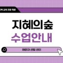 지혜의숲사고력교육학원 이미지