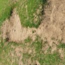 구미파크골프장 이미지