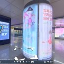 대전교통공사 이미지