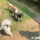 멈무아지트 이미지