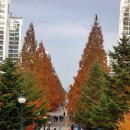 주엽공원 이미지