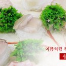 푸짐한활어회