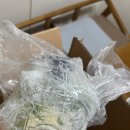 조양로247번길 | 존엄하게 살래말래 살래말래 품격이 없어서 애매하긴해