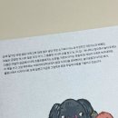 눈코입