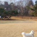 잔디골프아카데미 | 드디어 봄이 오는 듯 한.. 3월의 시작 ?!