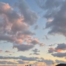 새선경공인중개사사무소 | 반달마을 통합재건축 추진단지 반달선경 1818동 4억500만원-반달마을 전문 탑부동산