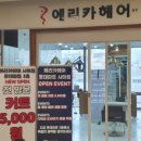 에리카헤어 네이버블로그