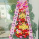 그레이스에이블(Graceable)