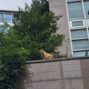 미루stay | 💐 08. 웨딩밴드 투어 (소그노/소린주얼리/프릿/소울앤제이/비에브)