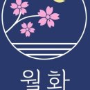 카페;월화