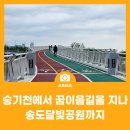 송도 달빛공원 인천송도파크골프장 | 승기천에서 꿈이음길을 지나 송도달빛공원까지