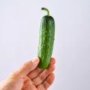 마지막 <b>뽕</b> (<b>미니</b> 게릴라 이벤트)