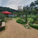 이누인 | 대전 방동저수지 애견카페 이누인 다녀옴!