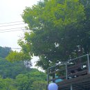 울릉관광옥천호텔 이미지