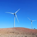 멍에목장 이미지