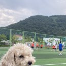 백운포체육공원(마사구장) 이미지