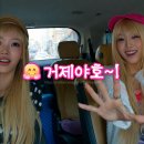 야호