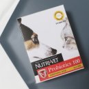 클라이네독 이미지