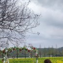 [오후N] 정리수업: 공간을 정리하면 인생이 보인다 | 창녕 낙동강 유채꽃 축제 2026 방문 후기 | 창녕유채꽃명소 봄꽃여행 제대로 즐기기