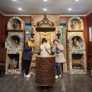 써니의사계절디저트 | 여주 루덴시아 테마파크 윈터 여행, 인기 갤러리 투어부터 감성 카페까지(feat.테마파크 할인 정보)