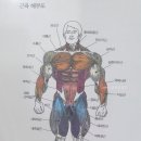 지노스피자 이미지