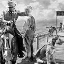 명우목장 이미지