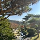 씨앗골캠핑장 이미지
