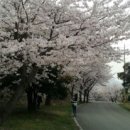 대교회식당 이미지