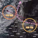 필리핀과 태풍, 게시글 900개 돌파! 이미지