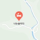 숲펜션 - 울릉군 도동8길 15 | 숲펜션