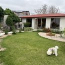 예가애견 이미지