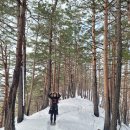 한솥도시락 울진북면점 | 울진 응봉산 등산코스 안내 및 후기 (3월중순)