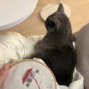 (주)삼신이앤비 본점 | B19. 배란유도제 먹고 첫 시도 | 기대했는데 결국 한 줄 | 서울 퍼틸리티 자궁경 용종 제거