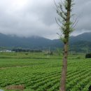 통일농산 - 양양군 남문5길 15-12 | 통일농산