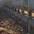 힐링프라자 이미지