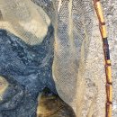 자연농원여명 이미지