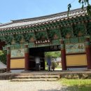 해남 당일치기 여행 피낭시에, 닭코스요리, 세계문화유산 '대흥사' 방문 후기
