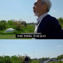 마이 미뇽